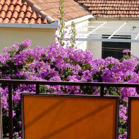 Apartments Indira Lovište Kültér fotó