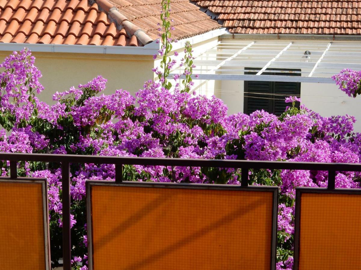 Apartments Indira Lovište Kültér fotó